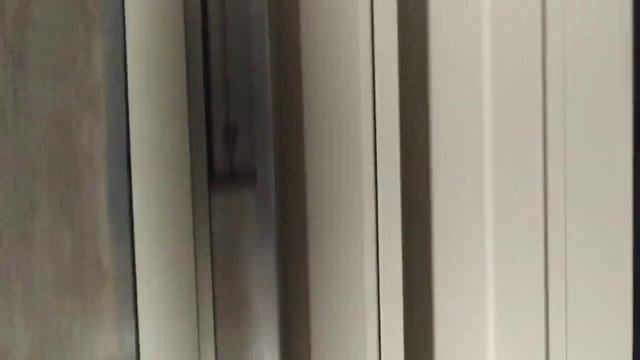 Ненормальные Лесенки из Приямка шахты лифта