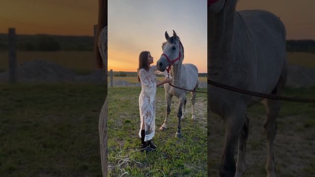 Никогда в жизни не была настолько рядом с лошадью
