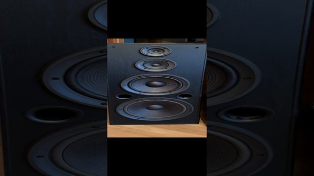 Technics SB-A55. Новые подвесы на НЧ EAS25PL320A6.