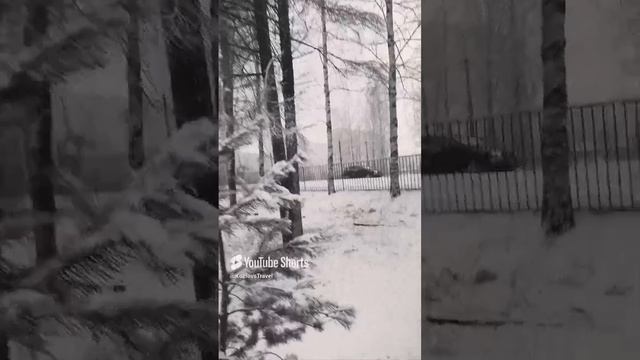 все пройдёт...