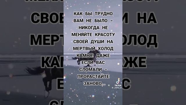 Мёртвый холод камня.