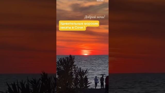 СОЧИ - это не только красиво, но и денежно