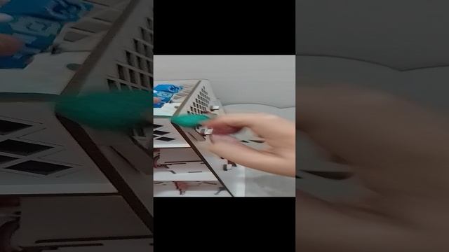 VID_20241127_215642.mp4