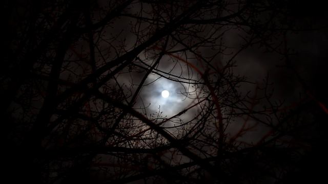 scary_moon.mp4