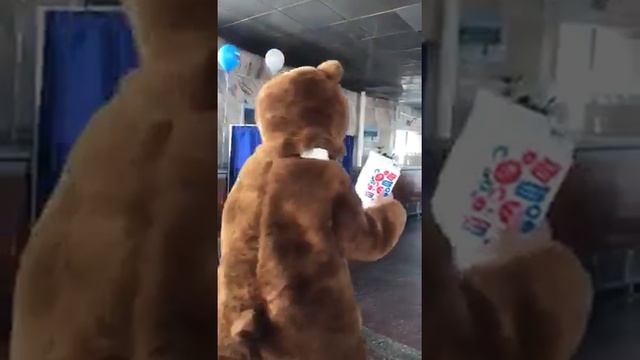 В Бурятии на выборы пришел медведь