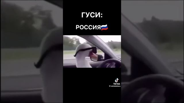 63437197da4c8c5ebadafdcce8e5c36e.mp4