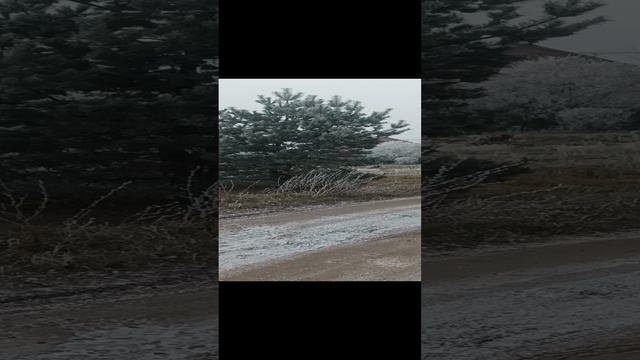 1000142426.mp4