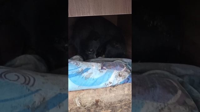 в такую погоду...