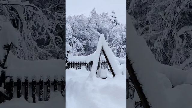 ❄️Зимняя сказка в Болу, Турция