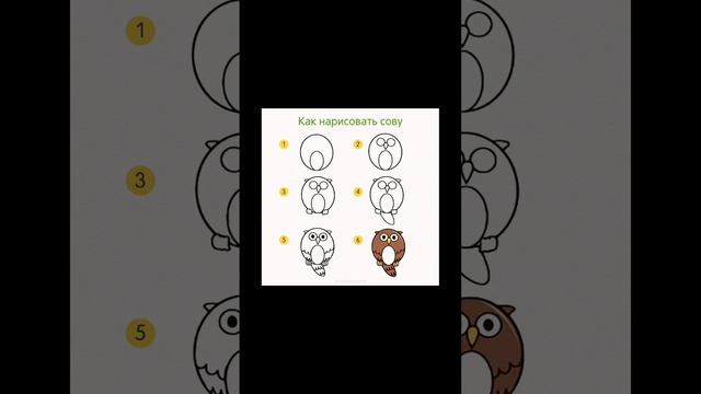 scene_output.mp4