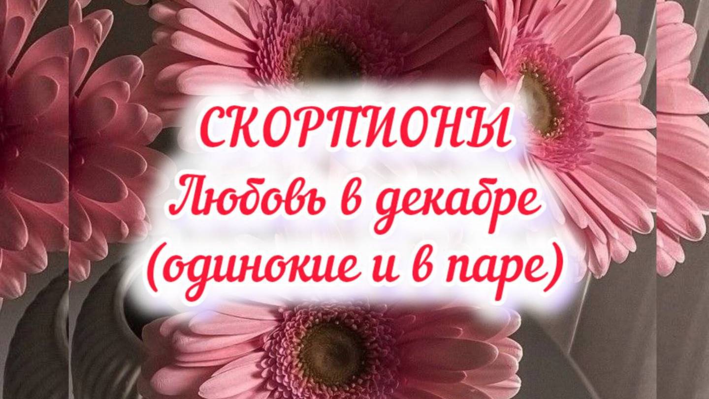 СКОРПИОНЫ - ЛЮБОВЬ в декабре 24г. (одинокие и в паре).