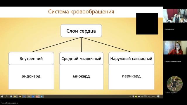 9 класс_27.11_7_Сердце
