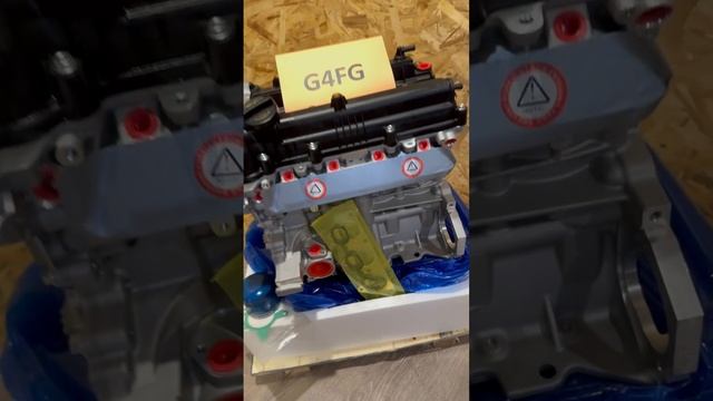 g4fgDVS (6)