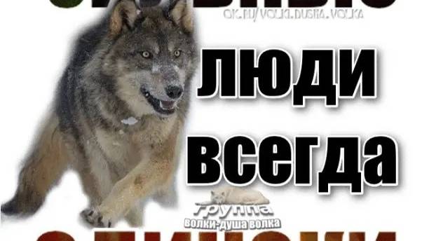 ЖЕЛАЮ-2ф
