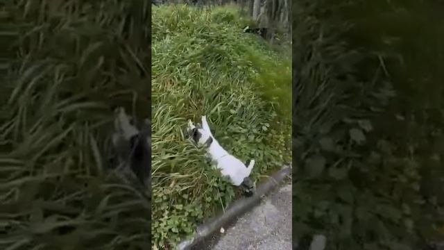 А можно уже выходные скорей?