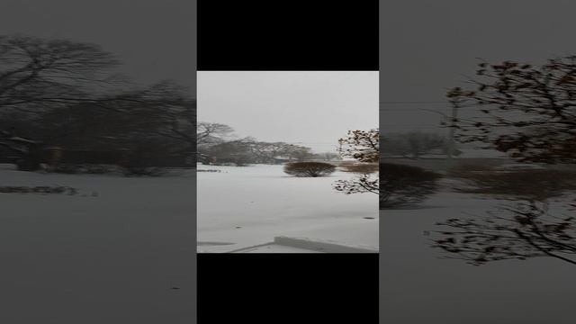 1000371545.mp4