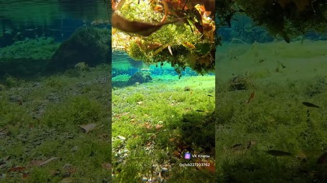 Под водой
