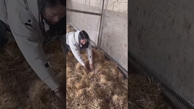 Когда заглянул в бухгалтерию