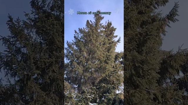 Метель