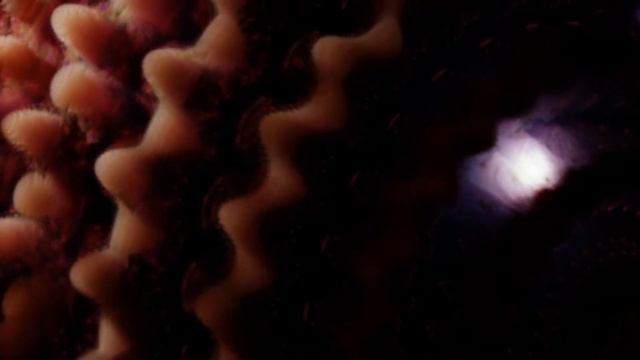 Mandelbrot - 3D Digital Art - Fractals