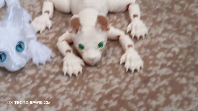 новый подвижный котик- Стасик ☺️🤭
