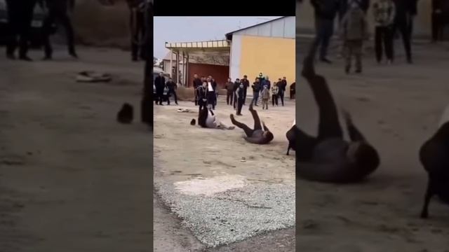 Удивительная синхронность. 27.11.2024 #докторндн #пасхальвиварий #юмор #бой #случайность