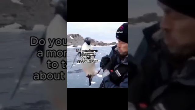 У вас есть секунда обсудить Линукс?