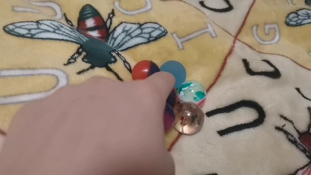 VID_20241127_190433.mp4