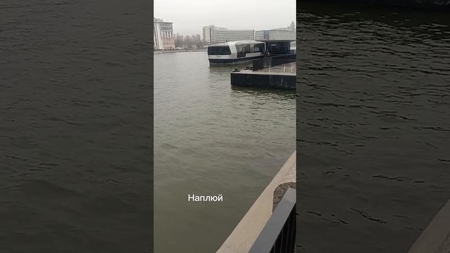 Люби себя, чихай на всех