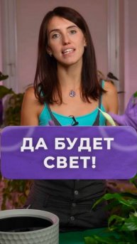 Как выбрать лампу для ваших растений? #растения_#уход_#садоводство