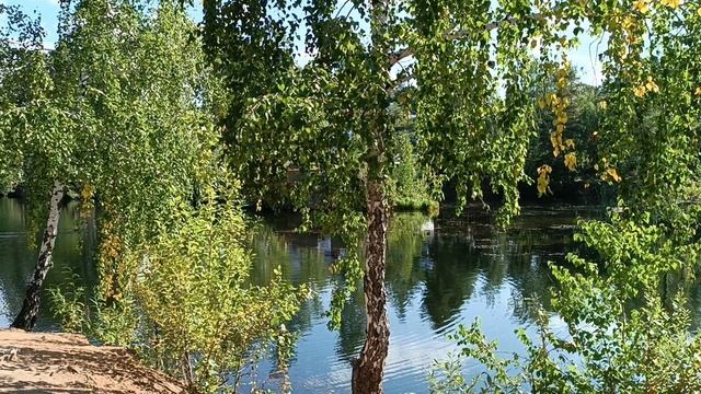 лето лето, как ты быстро проходишь.