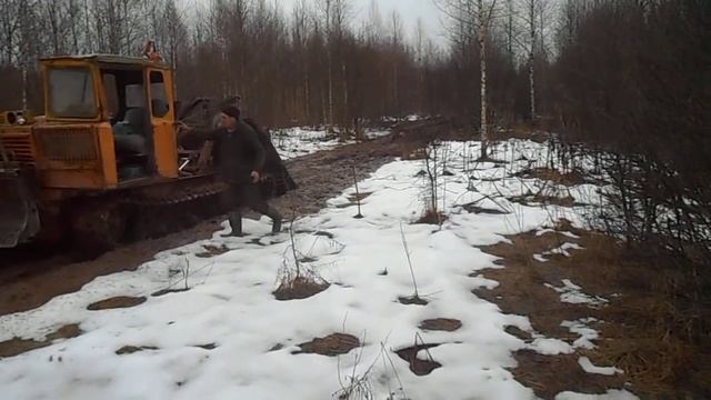 Вывозим бревна для срубов из чащи леса - Srubbanidoma.ru