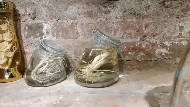 Начало. "ЖЕНЬШЕНЬ ЦЕНТР"