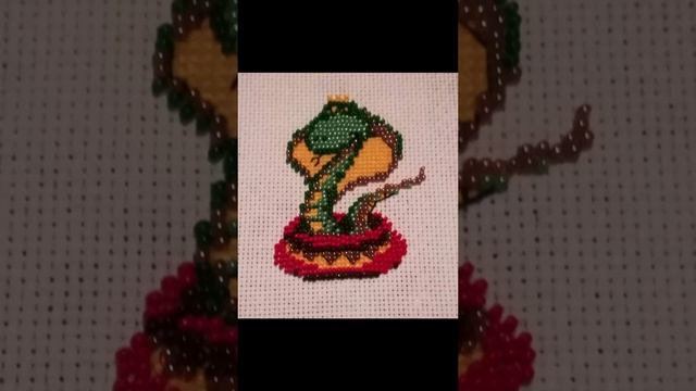 1000058276.mp4