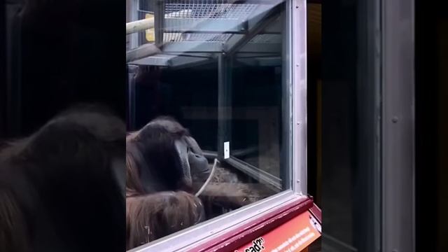 Мужик... ну ты озадачил! 🧐