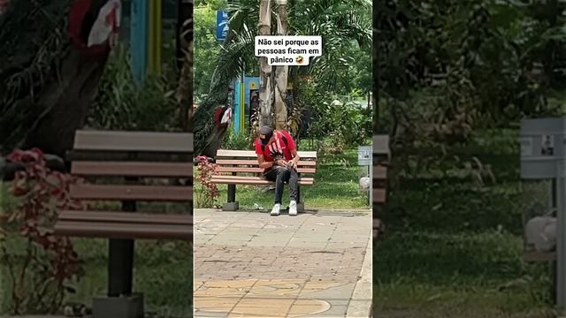 Корпорация Юмора - Клип Корпорация Юмора