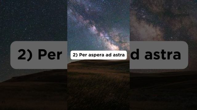 Сколько выражений узнали? 😉
Напишите цифру в комментариях.