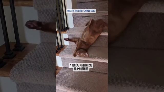 А теперь у меня есть вдохновение!