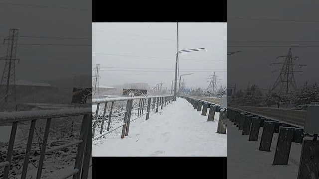 1000132720.mp4