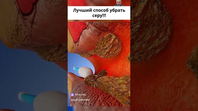 clip-224635832_456241159.mp4