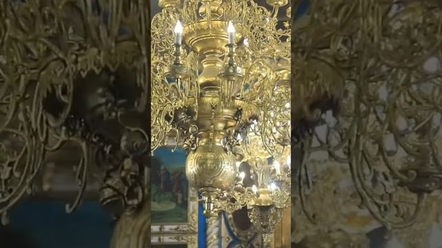 11 ноября 2024 г.