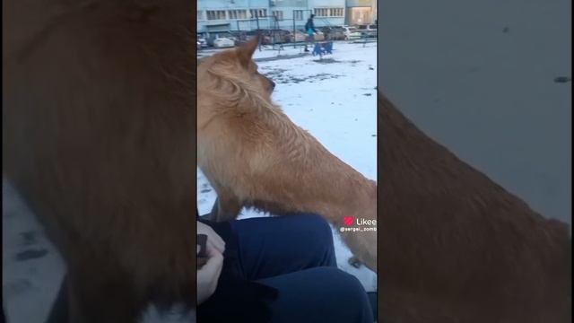 Какая МИЛОТА! Вы только посмотрите!