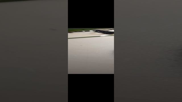 1000007673.mp4