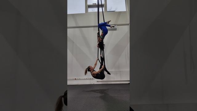 Aerial Straps Duo 20241122