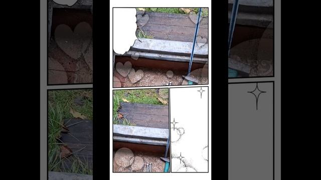 1000008189.mp4 (Собака смотрит на шпильки для укрепления стропил дома А-фрейм)