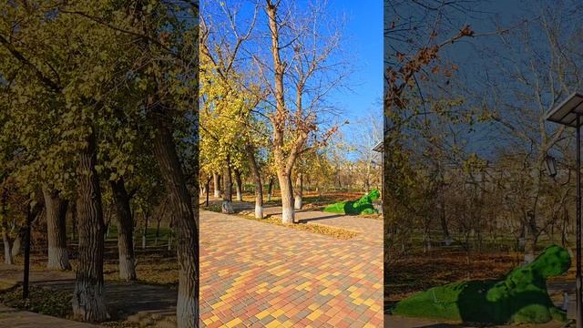 Нефтекумск осень.    🍂. 11.2024г.#shorts