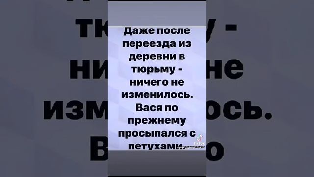 27-11-2024