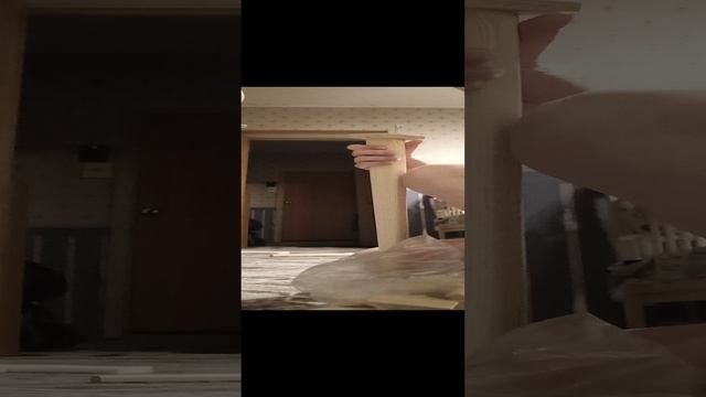 VID_20241127_164226.mp4
