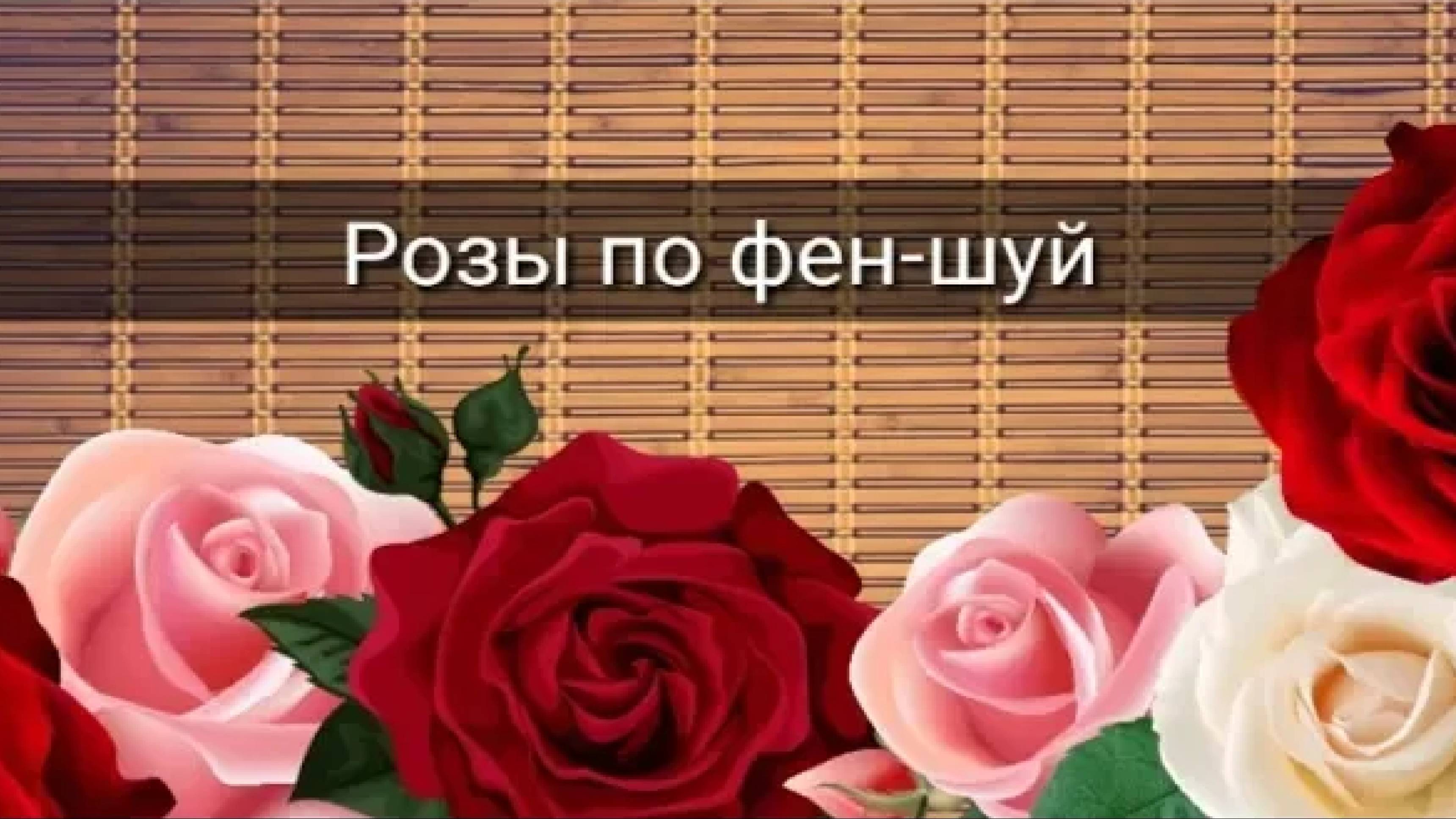 РОЗЫ ПО ФЕН-ШУЙ