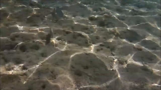 Snorkeling Playa Girón - Cuba